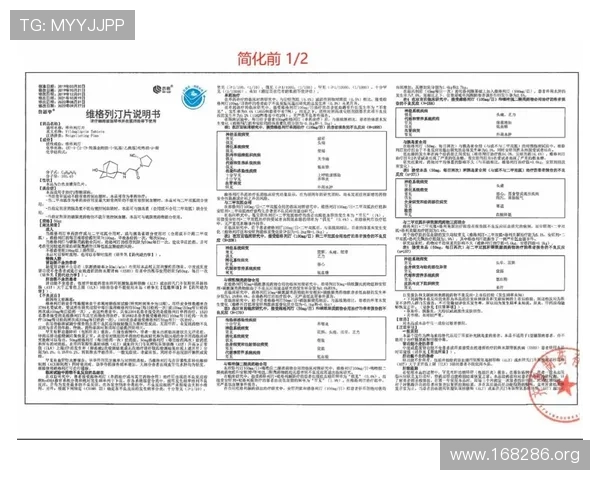 喜达诺说明书详细指南与使用注意事项